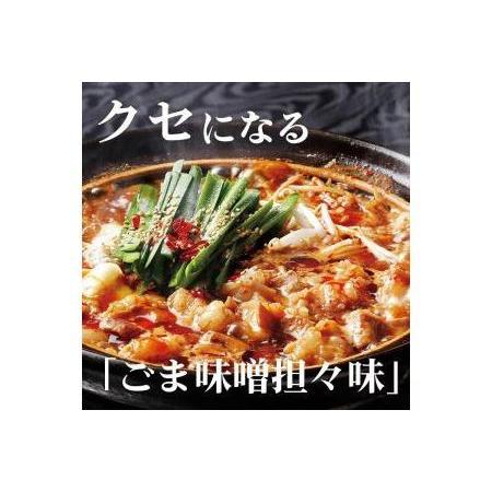 ふるさと納税 特製博多もつ鍋　２種味比べセット　醤油味／ごま味噌坦々味（各２〜３人前） 福岡県福岡市