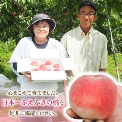 ふるさと納税 笛吹市 先行受付 厳選!桃 約3kg(8〜12玉) 山梨県笛吹市産