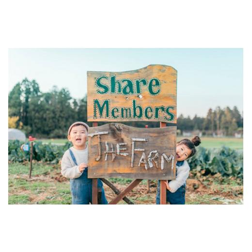 ふるさと納税 千葉県 香取市 THE FARMの 野菜 詰め合わせセット こだわり厳選した旬な野菜をお届け!