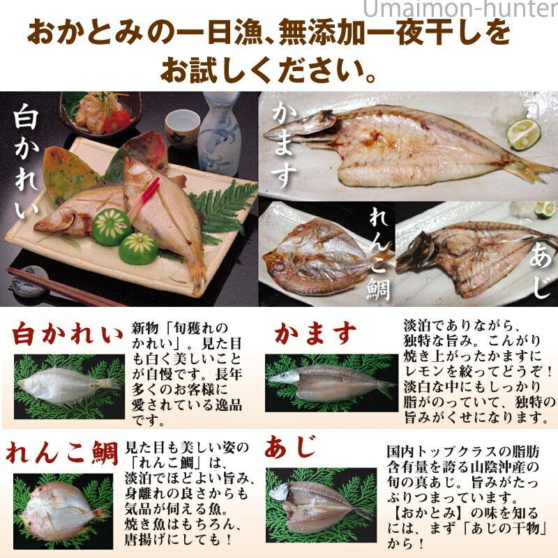 ギフト 二人前地魚ひものセット 岡富商店 エテかれい あじ かます れんこ鯛 島根沖産魚 お取り寄せ食材 贈り物に 一 部地域