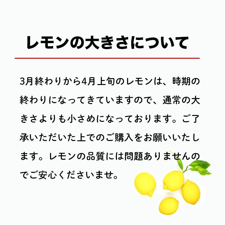 広島県産　徳さんのレモン2kg 国産レモン　送料無料　減農薬　訳あり　瀬戸内レモン　ノーワックス 防腐剤不使用 家庭用