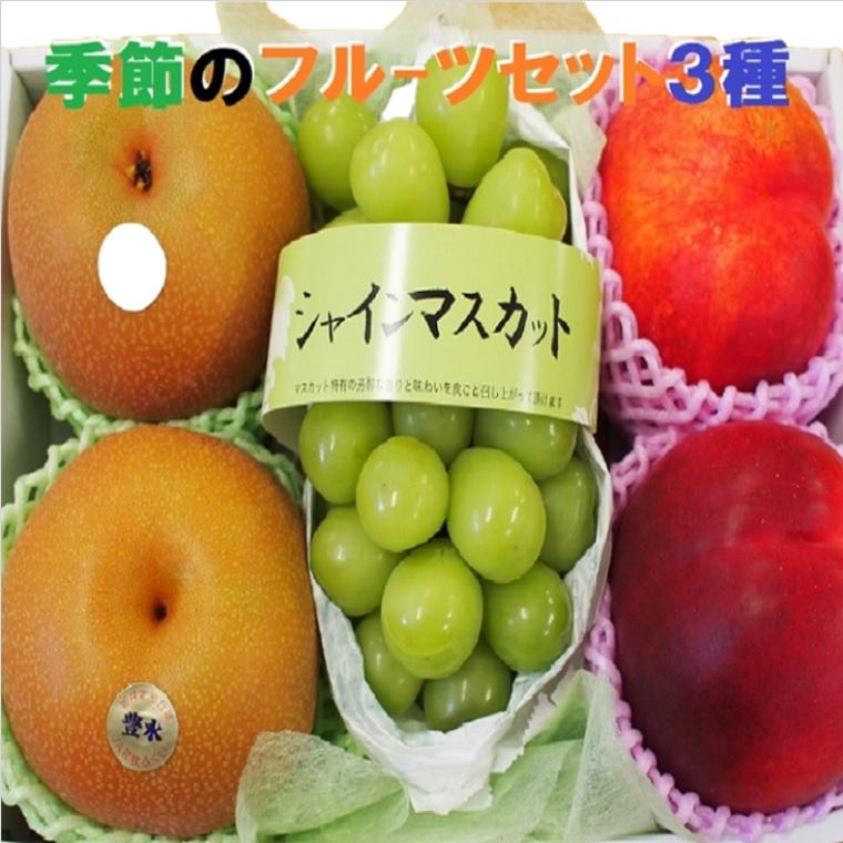 果物ギフト 食の宝石箱 フルーツセット３種ギフト化粧箱 果物 詰め合わせ  フルーツ 盛り合わせ