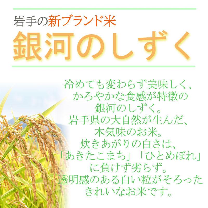 新米 米 お米 10kg×3 銀河のしずく 玄米30kg 令和5年産 岩手県産 白米・無洗米・分づきにお好み精米 送料無料 当日精米