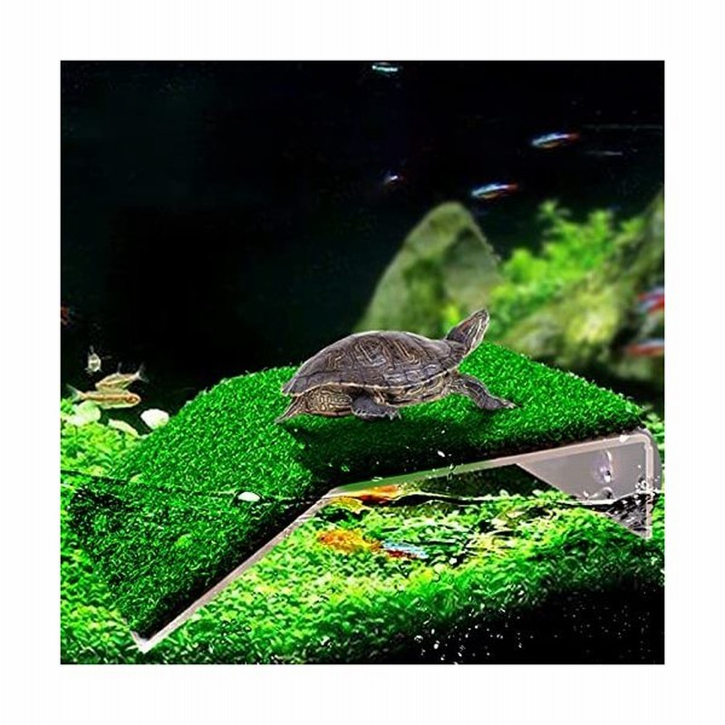 爬虫類 亀 かめ 浮き島 タートルプラットフォーム 日光浴用 水槽台滑り止め 自然傾斜 亀用テラス カメ桟橋 吸 通販 Lineポイント最大0 5 Get Lineショッピング