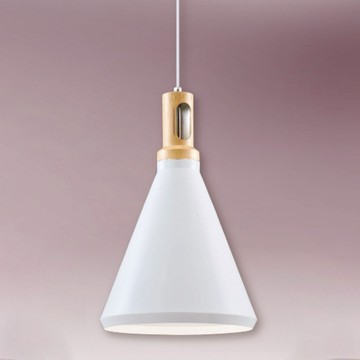 E27金屬單吊燈 B20-13-62575