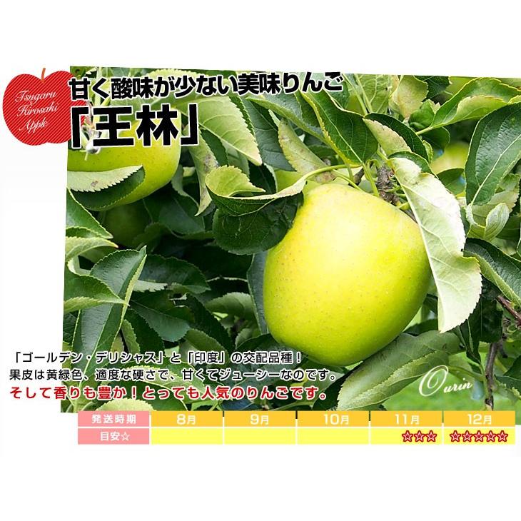 青森県より産地直送 JAつがる弘前 「王林」 約3キロ (9玉から13玉) 送料無料 りんご 林檎 リンゴ 津軽