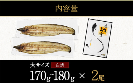 鹿児島県大隅産　千歳鰻の白焼鰻「大」2尾