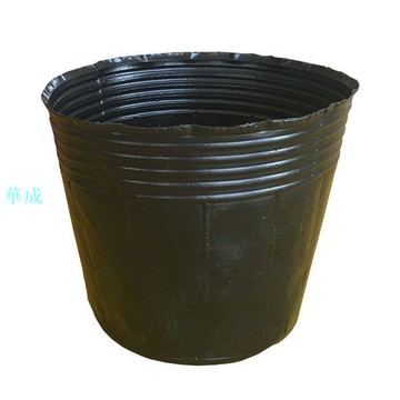 0609 新店 促銷中育苗杯營養缽一次性塑膠黑色杯育苗盆營養袋型號齊全大號小號