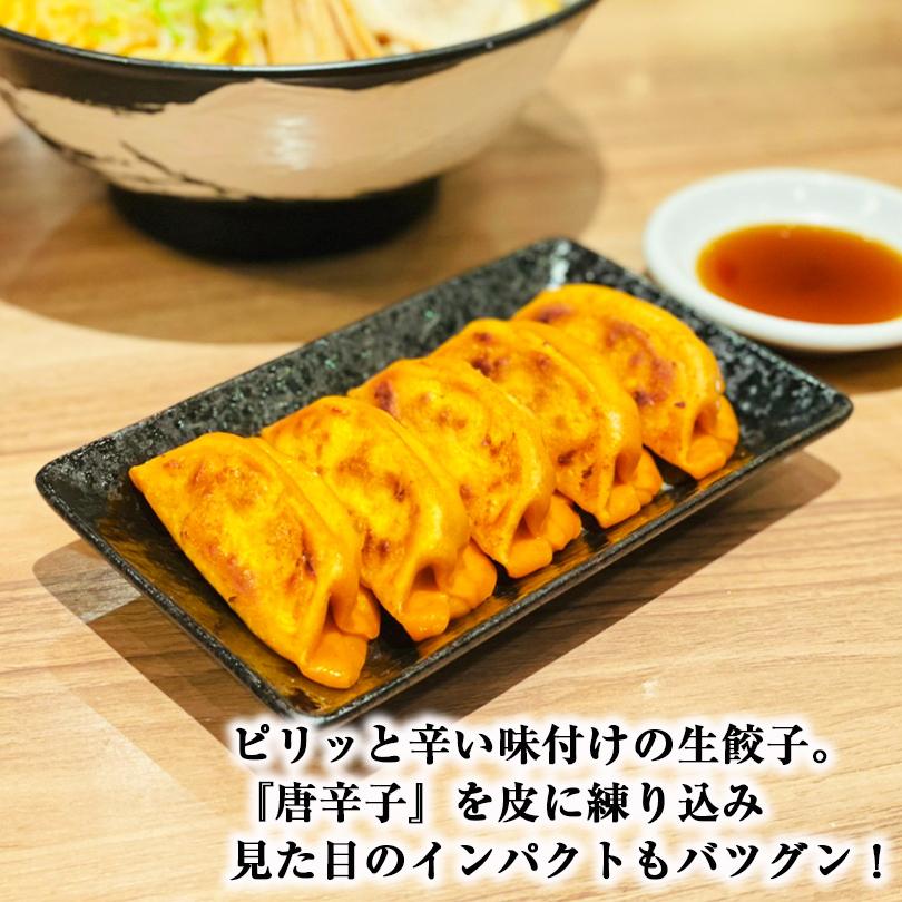 西山製麺 冷凍生餃子 ピリ辛 24個入×5袋セット 送料無料 業務用 惣菜 ぎょうざ ギョウザ 水餃子 もちもち 中華  西山 国産 お取り寄せ お土産 北海道