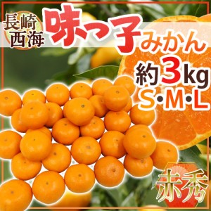 長崎 西海 ”味っ子みかん” 赤秀品 S M Lサイズ 約3kg 最低糖度13度保証 送料無料