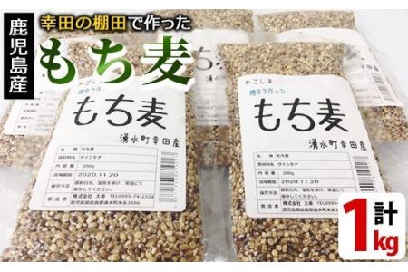 y215 棚田で作ったもち麦200g×5袋(計1kg)！日本棚田百選に選定されている「鹿児島県湧水町幸田棚田のもち麦」！生活用水がまったく入らない冷たい水で作るもち麦