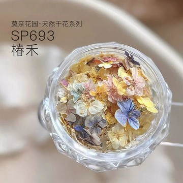 ❤️臺灣出貨美甲乾花素材混裝莫奈花園精美五瓣花材料花朵裝飾小碎花指甲飾品✨好物甄選