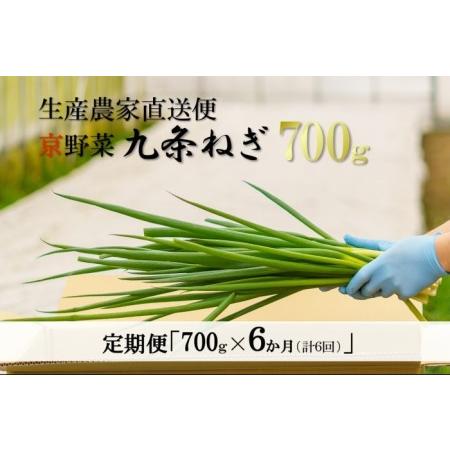 ふるさと納税 生産農家直送　京野菜・九条ねぎ  700g×6回 京都府宇治田原町