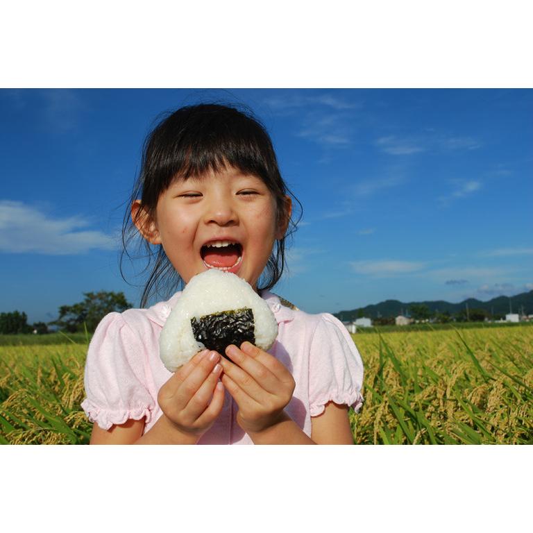 送料無料 令和５年度米 渡部浩見 漢方農法 特別栽培米 こしひかり ３００g ６パック