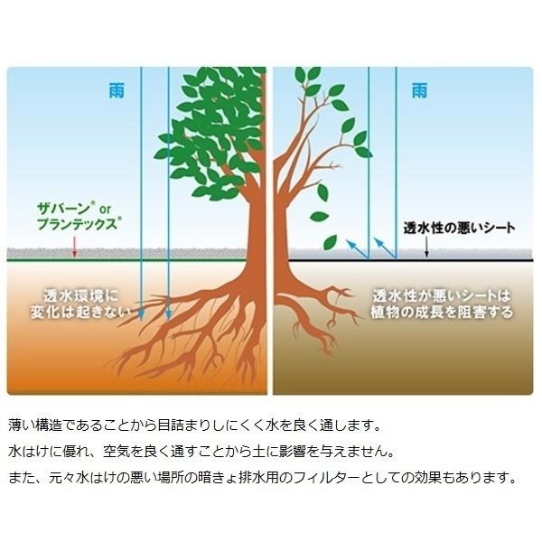 防草シート グリーン 2m×5m シート押さえ Uピン×20入り 強力 耐候年数10年 雑草対策 ザバーン240 デュポン社