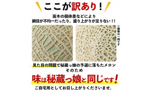 a0-169 ＜R5年11月下旬～12月末頃発送予定＞牧さんの訳ありメロン 赤玉(赤肉)1玉