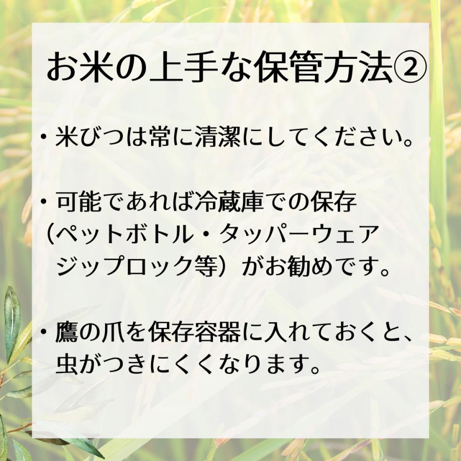 滋賀県産 にじのきらめき  令和5年 玄米30Kg 1等