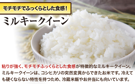 令和5年産 新米 青空市きらりの お米 10kg 岡山県産 ミルキークイーン×こしひかり 青空市きらり《30日以内に発送予定(土日祝除く)》岡山県 矢掛町 白米 精米 米 コメ