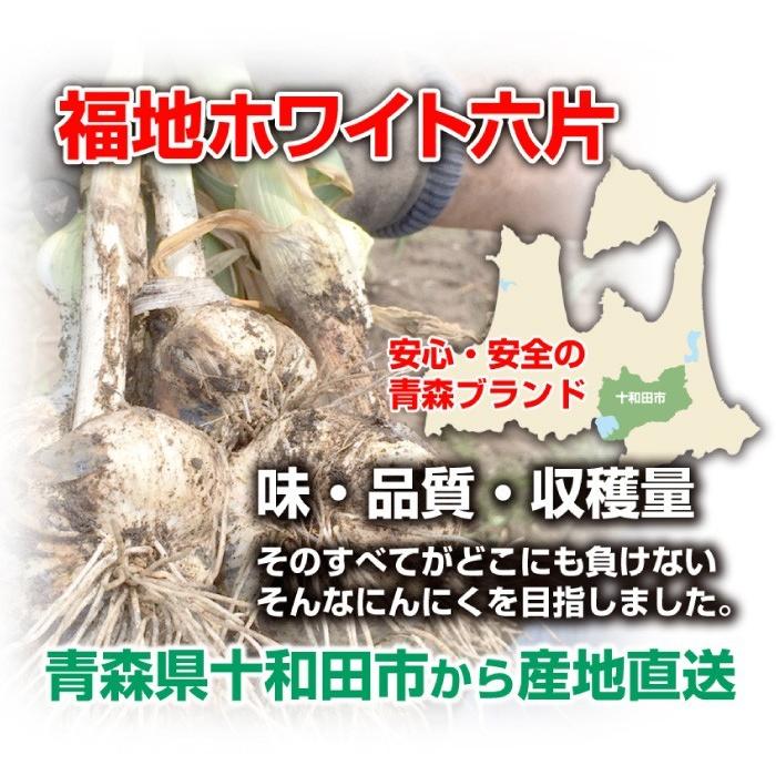 訳あり 乾燥にんにく Sサイズ 1kg 令和5年産 5kg以上ご購入で送料無料 青森県産福地ホワイト六片 食品 香味野菜 にんにく 大蒜 健康のために