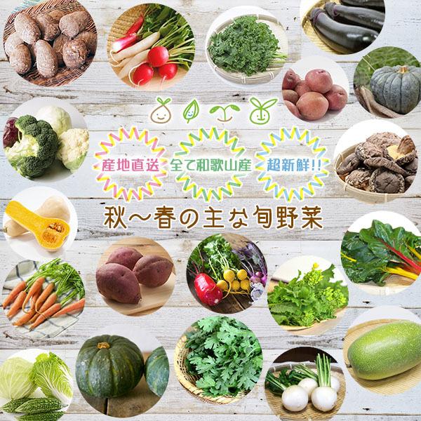 今日のお買い得！数量限定 おまかせ旬野菜セット 10種類以上 ※内容の指定不可 ■期日指定不可・発送翌日受取限定：お届け時間帯にご注意ください■