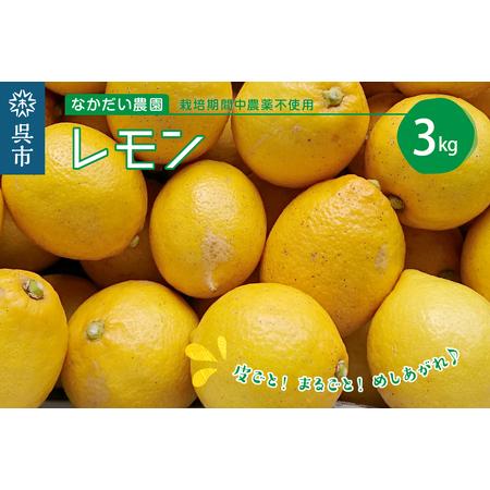 ふるさと納税 栽培期間中農薬不使用「レモン」約3kg 広島県呉市