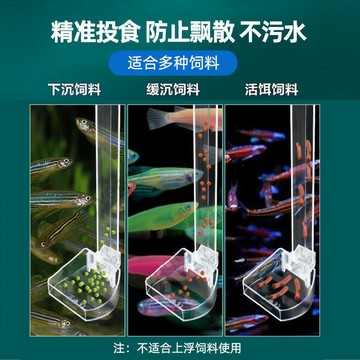 限時下殺 魚缸餵食器透明亞克力小型定點投食管下沉防飄散餵食器魚食神器 10・6