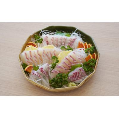 ふるさと納税 愛南町 朝〆直送!愛南町産 真鯛さしみ用切り身(400g アラ付き)