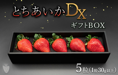 とちあいかDX ギフトBOX（5粒） ※2023年11月上旬頃より順次発送予定