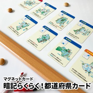 マグネットパーク×旺文社 知育マグネット マグネットカード 中学受験シリーズ 暗記らくらく！都道府県カード ゆうパケット対応商品