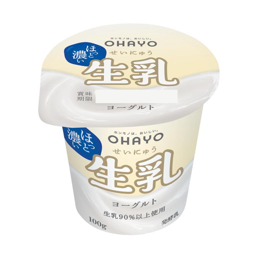 オハヨー乳業 生乳ヨーグルト 100g