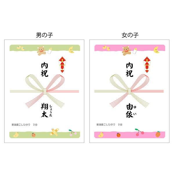 出産 内祝 真空パックのお米 新潟産 コシヒカリ 3合（450ｇ）