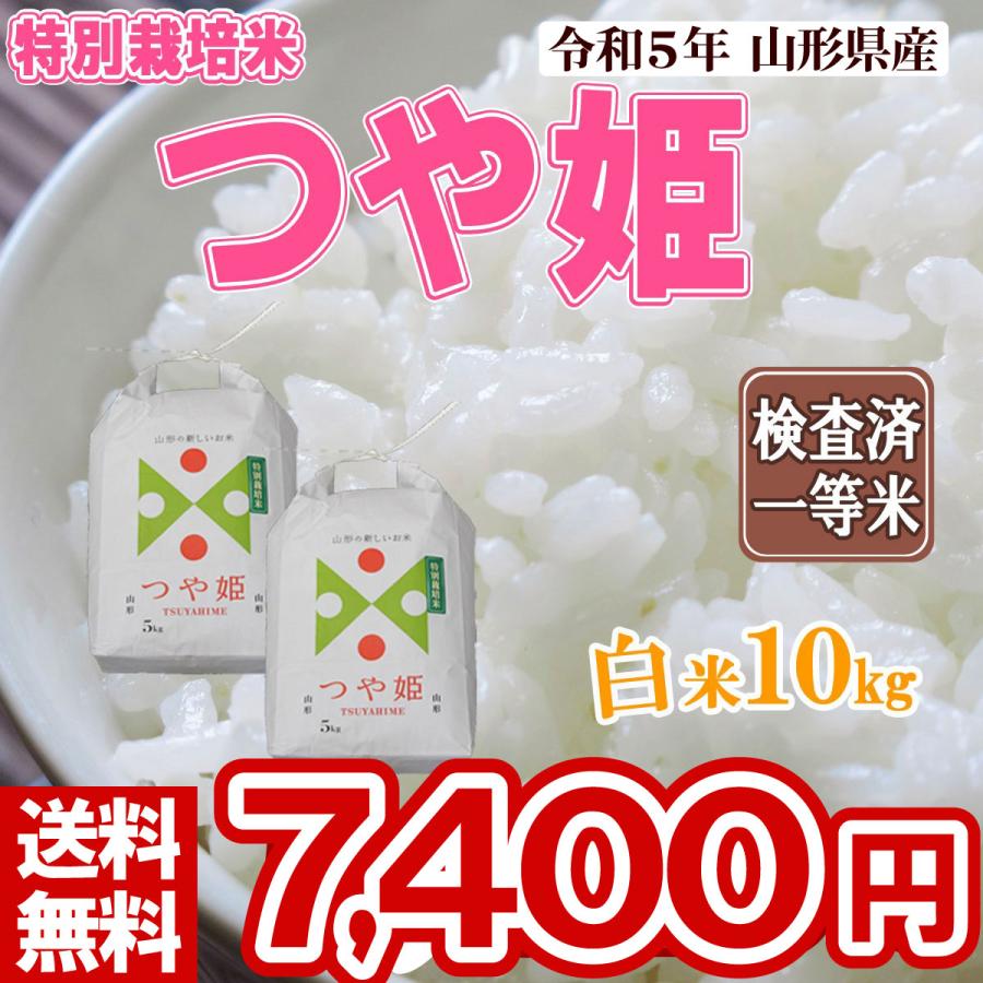 白米 10kg (5kg×2) 山形県産 特別栽培米 つや姫 米 お米 精米済 令和5年（送料無料）