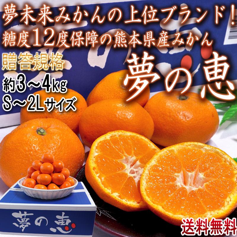 夢の恵 温州みかん 約3.5〜4kg S〜2Lサイズ 熊本県産 贈答規格 JAくまもと 光センサー選別ミカン・糖度12度保証　夢未来の最高峰蜜柑