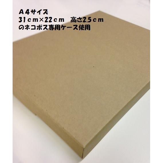 揚げ昆布 100g 北海道産 送料無料 お徳用 業務用 あげ昆布 おつまみ 家飲み ジッパー袋入り