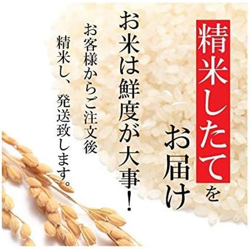 新潟県産ミルキークイーン (受注精米10kg(5kgx2))令和4年産