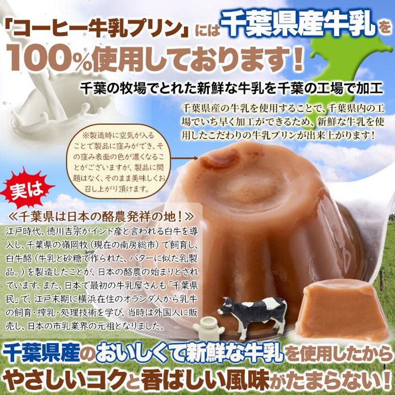 牛乳プリン ミルクプリン コーヒー味 ひとくちコーヒー牛乳プリン 40個 