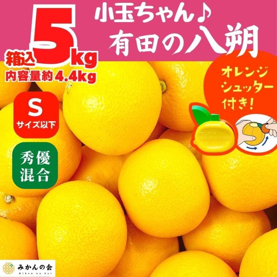 八朔 (はっさく) 小玉ちゃん 箱込 5kg(内容量約 4.4kg) 秀品 優品 混合 Sサイズ以下 和歌山県産  産地直送