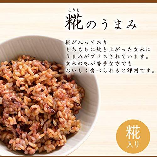  玄米パックごはん 160ｇ 12パック入り ごはんパック ご飯パック 糀入りもちもち玄米 レ