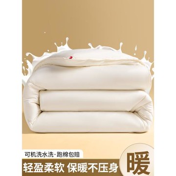 被子被芯冬被春秋被單人學生宿舍冬季加厚保暖棉被空調被夏涼被