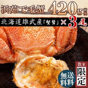 お中元 [かに　蟹]毛ガニ特大(毛蟹　数量限定　最高級　北海道産)420g×3尾 送料無料 お歳暮