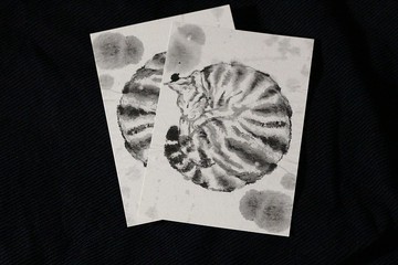 捲成球睡覺的貓明信片