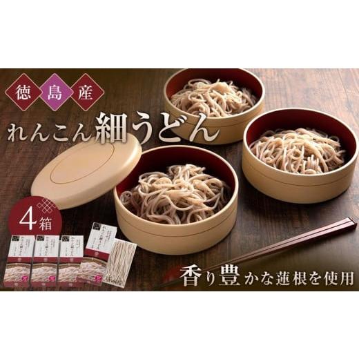 ふるさと納税 徳島県 徳島産れんこん細うどん 880g (220g×４箱)