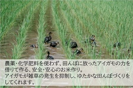 ＜新米・令和5年産＞＜数量限定＞合鴨米(5kg×2袋)