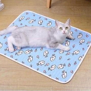 毛皇上 乳膠涼感墊  S(40 x 30cm)  藍色小魚  1個