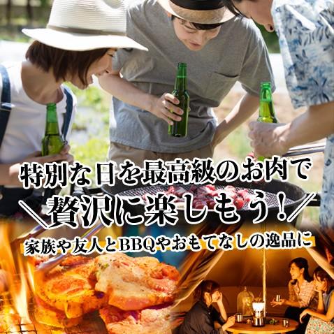 厚切り ステーキ 赤身 肉 赤身肉 豚肉 国産 600g