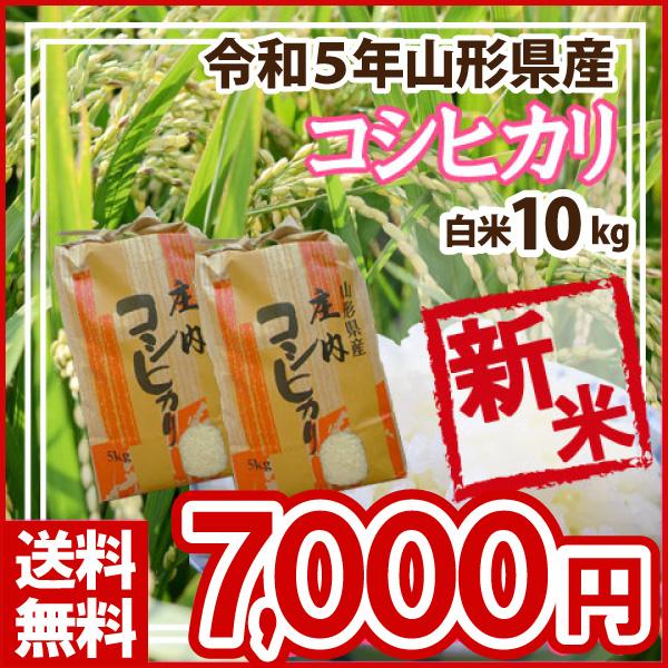 白米 10kg (5kg×2) 山形県産 コシヒカリ 米 お米 精米済 令和5年（送料無料）