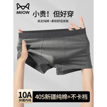 貓人男士內褲男款正品高檔純棉100%全棉抗菌男生平角短褲2026新款
