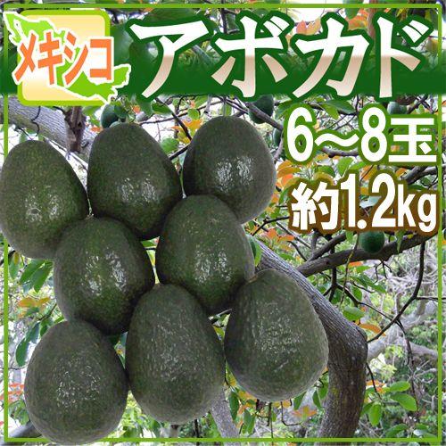 メキシコ産 ”アボカド” 6〜8玉 約1.2kg 送料無料