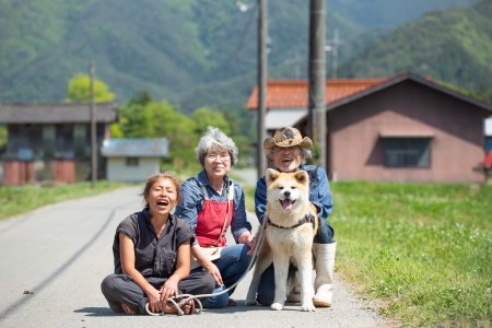 D-360 頑固な男のお米（コシヒカリ）白米20kg