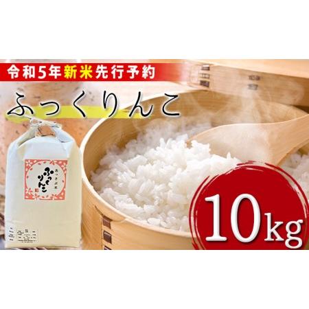 ふるさと納税 北海道厚沢部産ふっくりんこ10kg※2023年11月新米からお届け ASG027 北海道厚沢部町